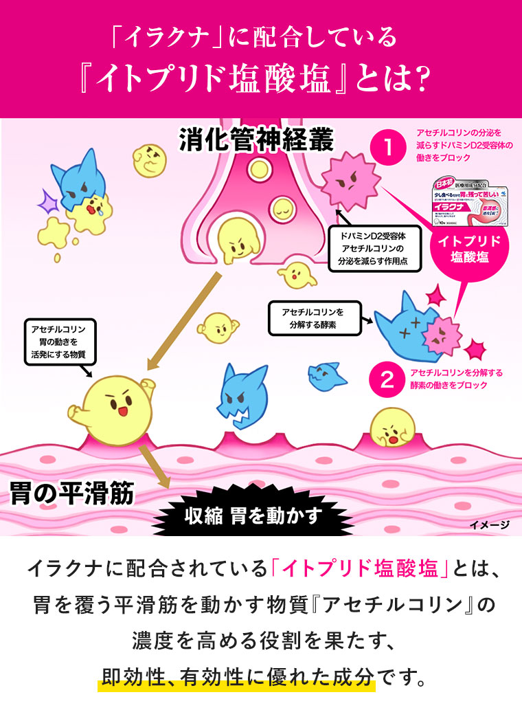 「イラクナ」に配合している『イトプリド塩酸塩』とは？