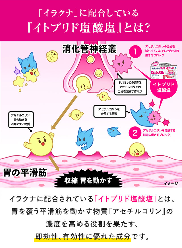 「イラクナ」に配合している『イトプリド塩酸塩』とは？