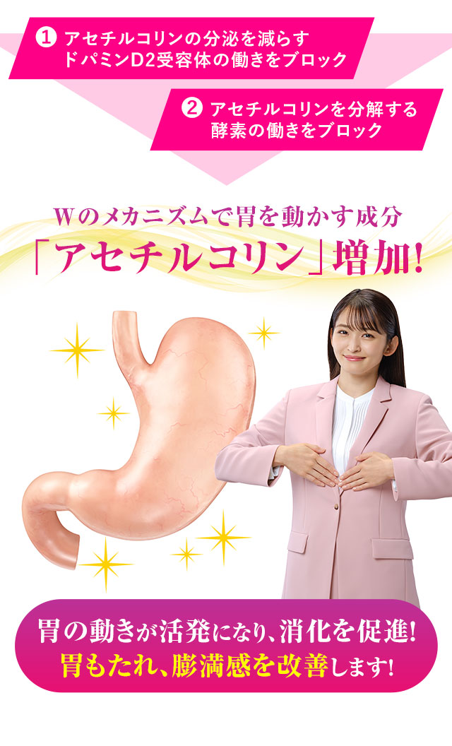Ｗのメカニズムで胃を動かす成分「アセチルコリン」増加！