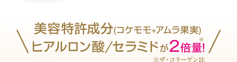 美容特許成分 (コケモモ+アムラ果実) ヒアルロン酸/セラミドが2倍量!
