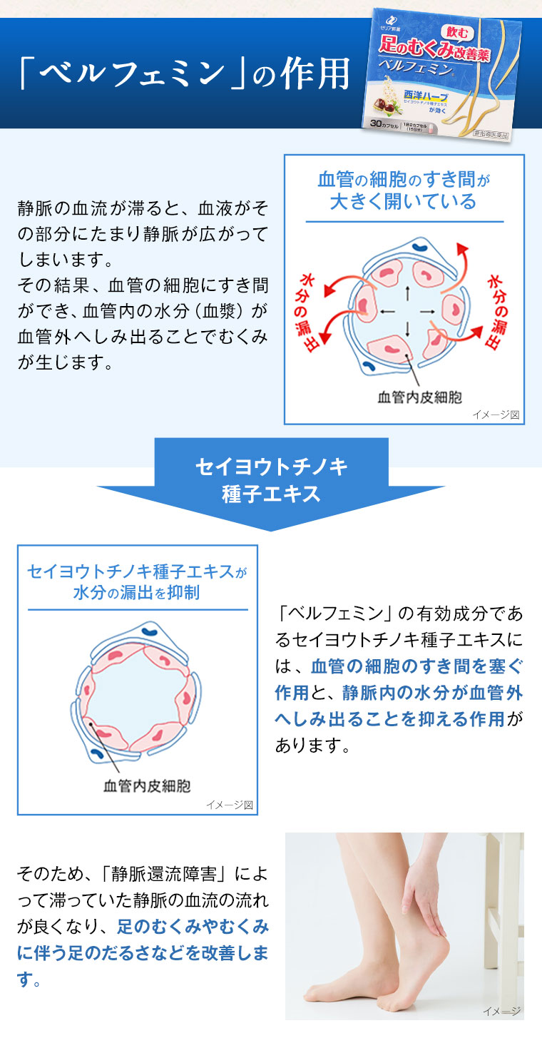 「ベルフェミン」の作用