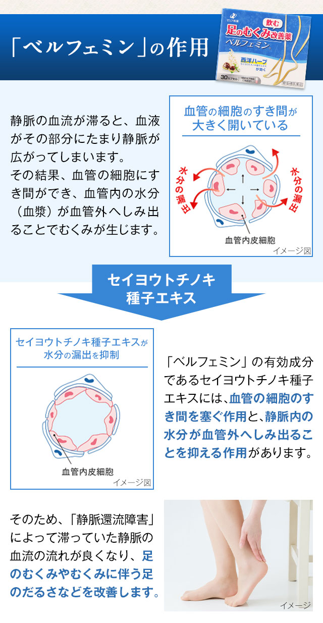 「ベルフェミン」の作用