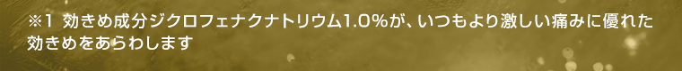 ※1　効きめ成分ジクロフェナクナトリウム1.0％が、いつもより激しい痛みに優れた効きめをあらわします