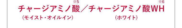 チャージアミノ酸(モイスト・オイルイン)※5 チャージアミノ酸WH(ホワイト)※6