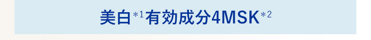 美白＊1有効成分4MSK＊2