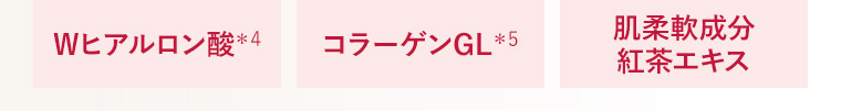Wヒアルロン酸＊4 コラーゲンGL＊5 肌柔軟成分紅茶エキス
