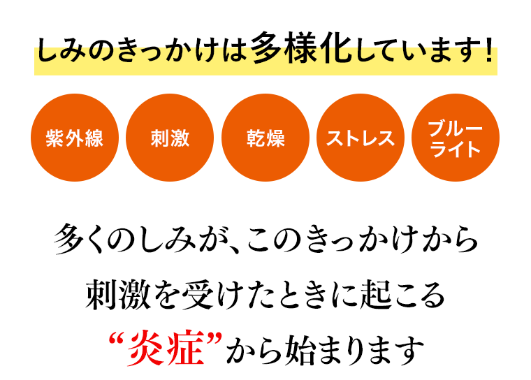 しみのきっかけは多様化しています！
