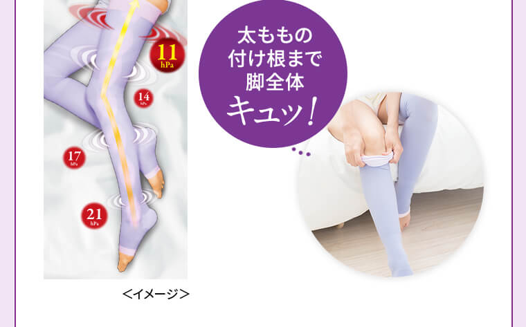 太ももの付け根まで脚全体キュッ!