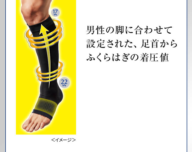 男性の脚に合わせて設定された、足首からふくらはぎの着圧値