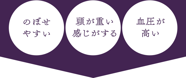 のぼせやすい／頭が重い感じがする／血圧が高い