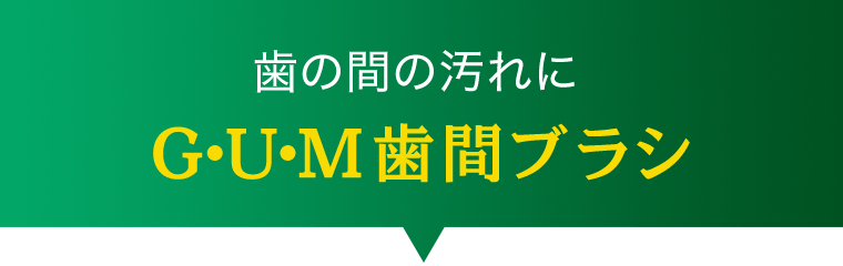 歯の間の汚れにG・U・M歯間ブラシ