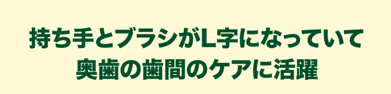持ち手とブラシがL字になっていて奥歯の歯間のケアに活躍