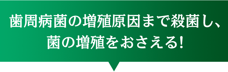 歯周病菌の増殖原因まで殺菌し、菌の増殖をおさえる！