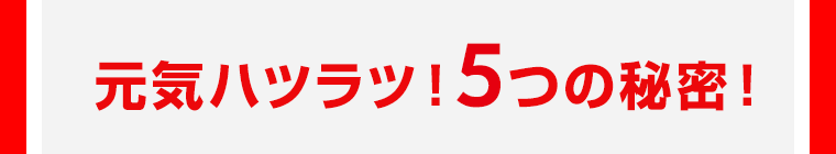 元気ハツラツ！5つの秘密！