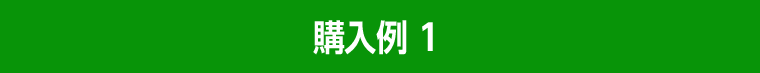 購入例1