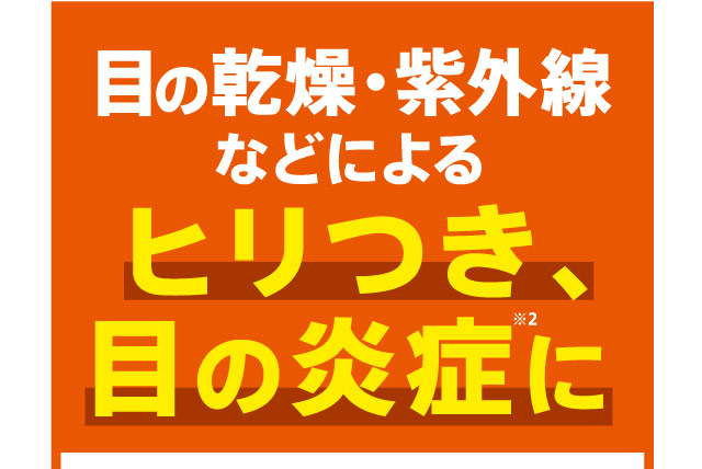 目の乾燥・紫外線などによるヒリつき、目の炎症に