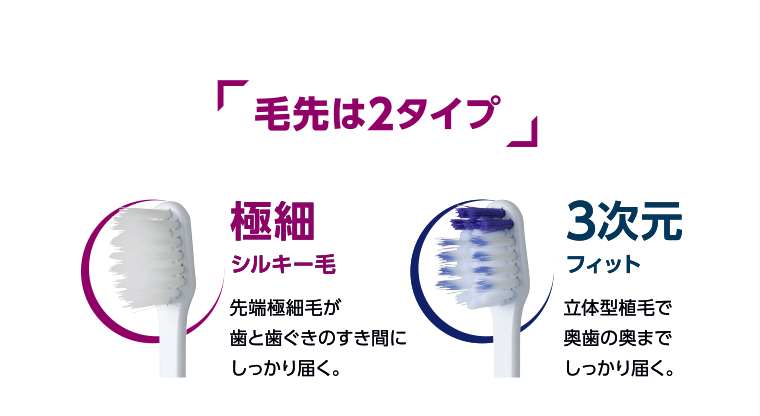 毛先は2タイプ　極細シルキー毛：先端極細毛が歯と歯ぐきのすき間にしっかり届く。/3次元フィット：立体型植毛で奥歯までしっかり届く。