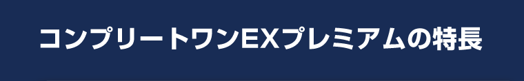 コンプリートワンEXプレミアムの特長