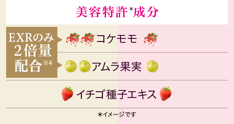 美容特許*成分　コケモモ　アムラ果実　イチゴ種子エキス　EXRのみ２倍量配合※4