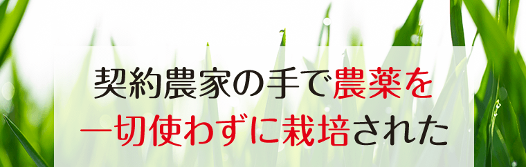 契約農家の手で農薬を一切使わずに栽培された