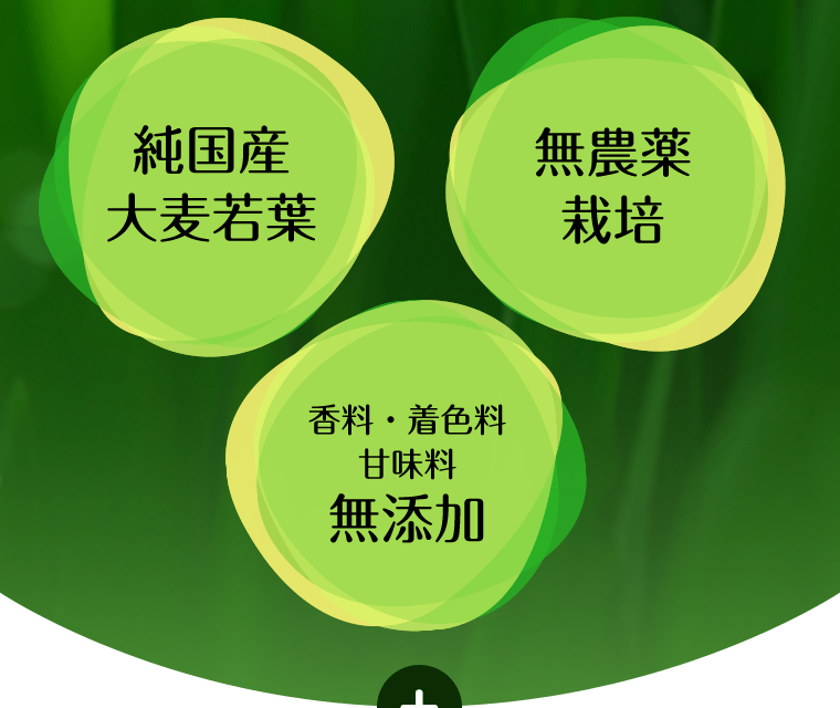 《純国産大麦若葉》《無農薬栽培》《香料・着色料・甘味料　無添加》
