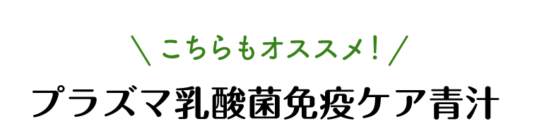 こちらもオススメ！プラズマ乳酸菌免疫ケア青汁