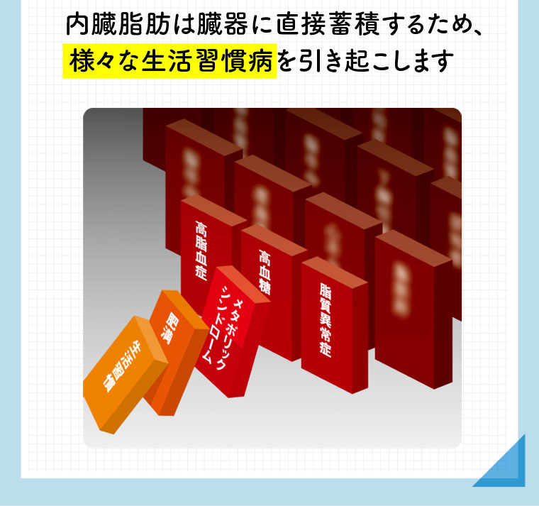 内臓脂肪は臓器に直接蓄積するため、様々な生活習慣病を引き起こします。