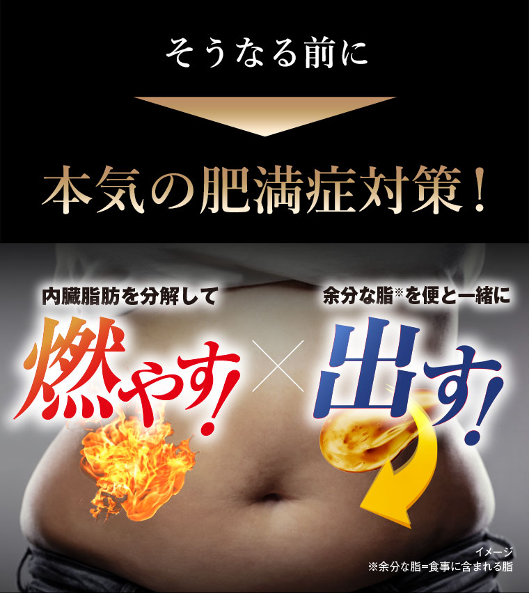 そうなる前に本気の肥満症対策！燃やす！出す！