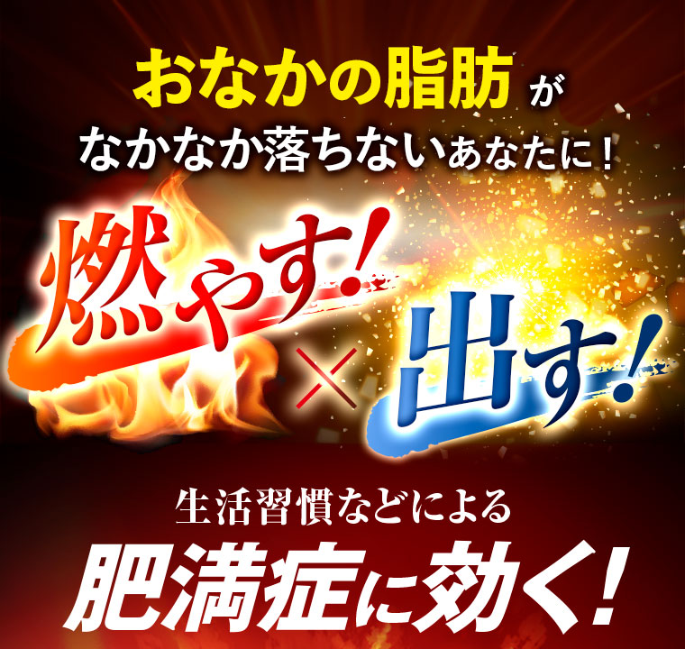 おなかの脂肪がなかなか落ちないあなたに！燃やす！出す！生活習慣などによる肥満症に効く！