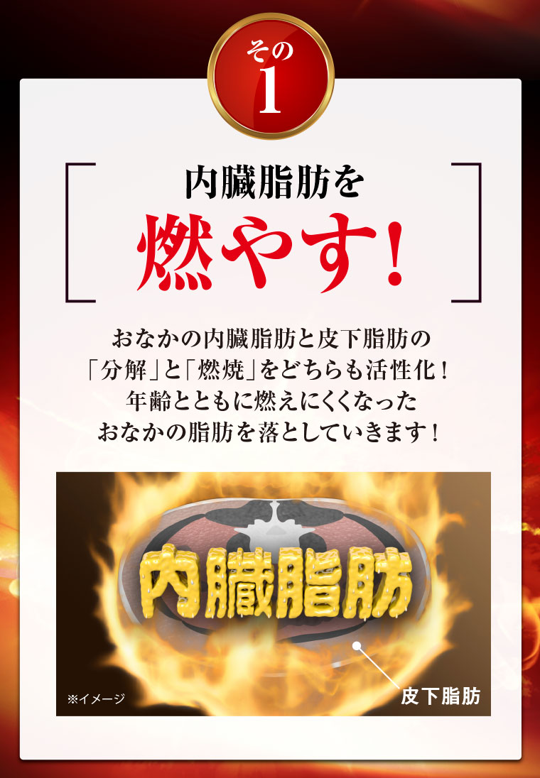 内臓脂肪を燃やす！