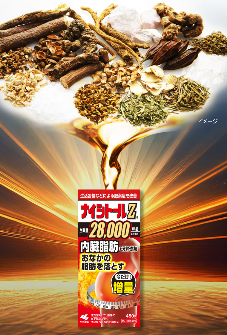 ナイシトールZ