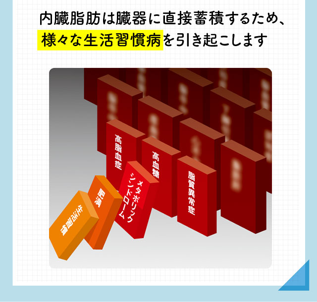 内臓脂肪は臓器に直接蓄積するため、様々な生活習慣病を引き起こします。