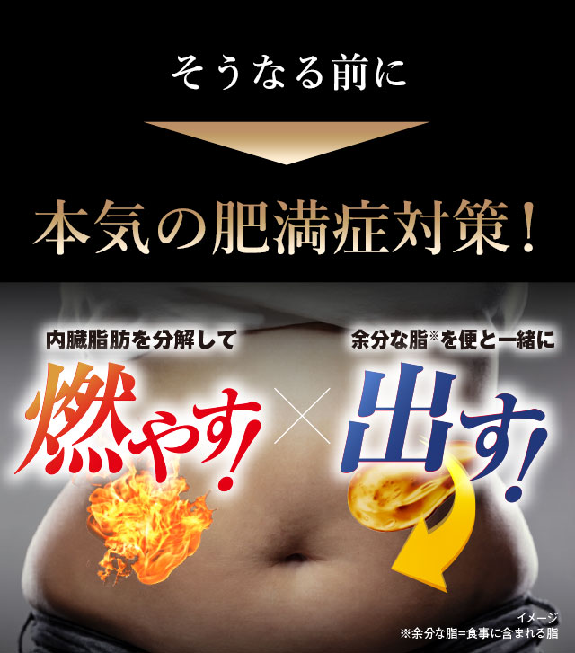 そうなる前に本気の肥満症対策！燃やす！出す！
