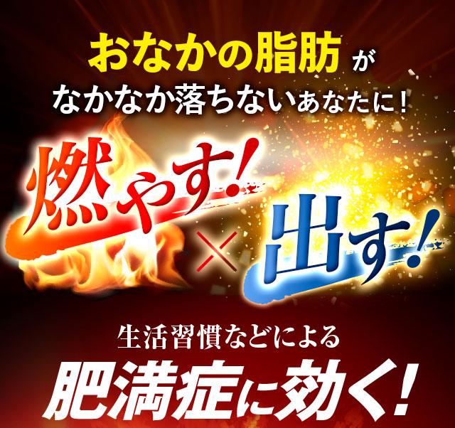 おなかの脂肪がなかなか落ちないあなたに！燃やす！出す！生活習慣などによる肥満症に効く！
