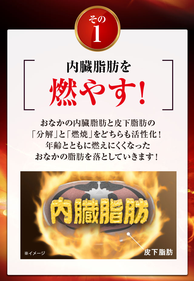 内臓脂肪を燃やす！