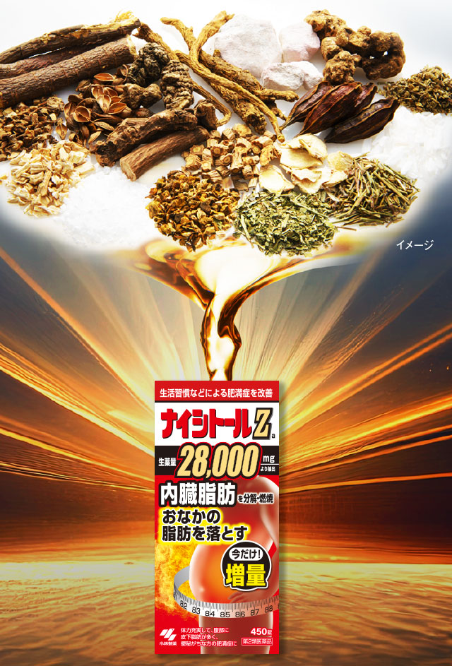 ナイシトールZ