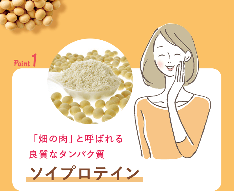 point1 「畑の肉」と呼ばれる良質なタンパク質　ソイプロテイン
