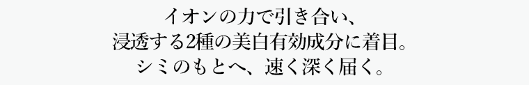 イオンの力で引き合い、浸透する2種の美白有効成分に着目。シミのもとへ、速く深く届く。