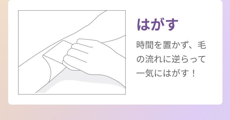 はがす 時間を置かず、毛の流れに逆らって一気にはがす!