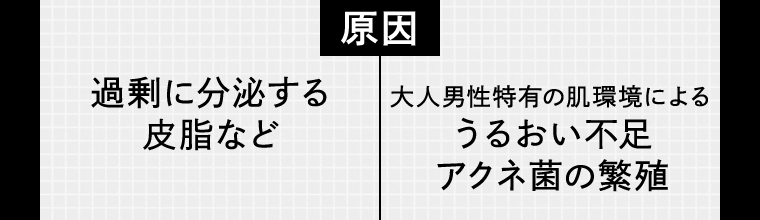 原因 過剰に分泌する皮脂など | 大人男性特有の肌環境によるうるおい不足 アクネ菌の繁殖