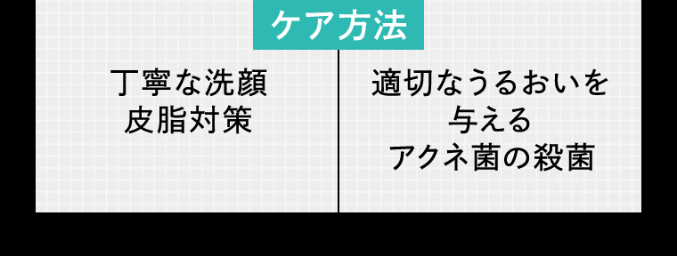 ケア方法 丁寧な洗顔 皮脂対策 適切なうるおいを与える アクネ菌の殺菌