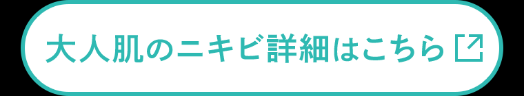 大人肌のニキビ詳細はこちら
