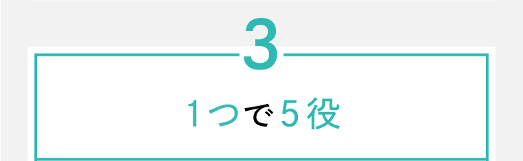 3 1つで5役