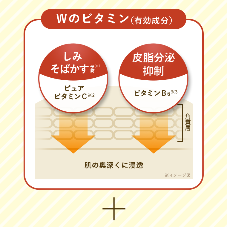 Wのビタミン