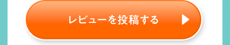 レビューを投稿する