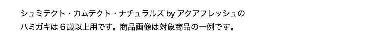 イメージ：1_c_2