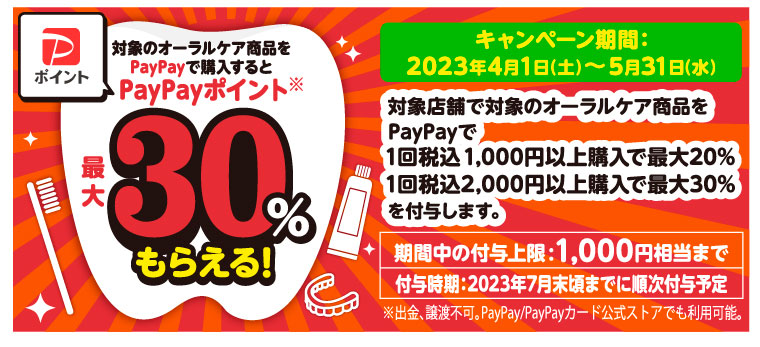 イメージ：paypay_lp_top