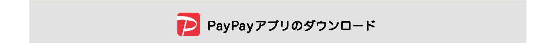 イメージ：paypay title