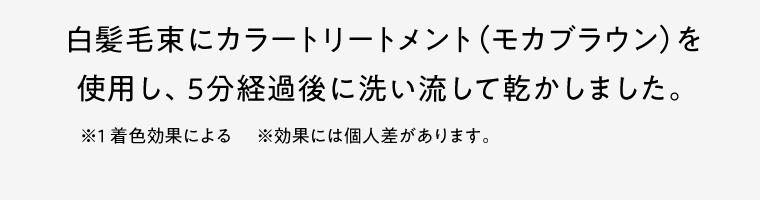 白髪毛束にカラートリートメント（モカブラウン）を使用し、5分経過後に洗い流して乾かしました。※1 着色効果による 　※効果には個人差があります。