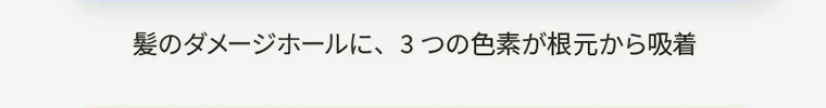 髪のダメージホールに、3つの色素が根元から吸着